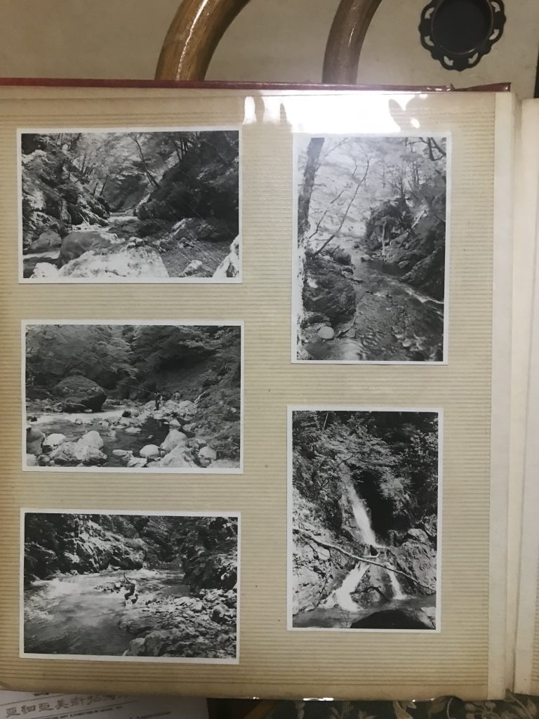 渓流の写真